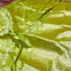 P Green__Royal Rajgharana Sarees